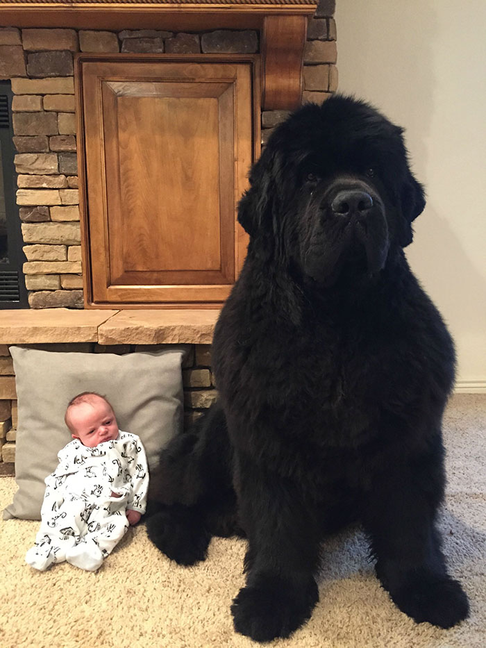 16 Months Apart 16 Months Apart