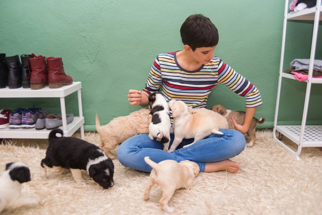 Woman playing with puppies