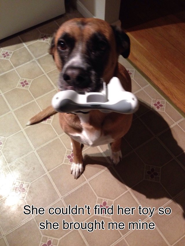 Dog holding a PlayStation controller.