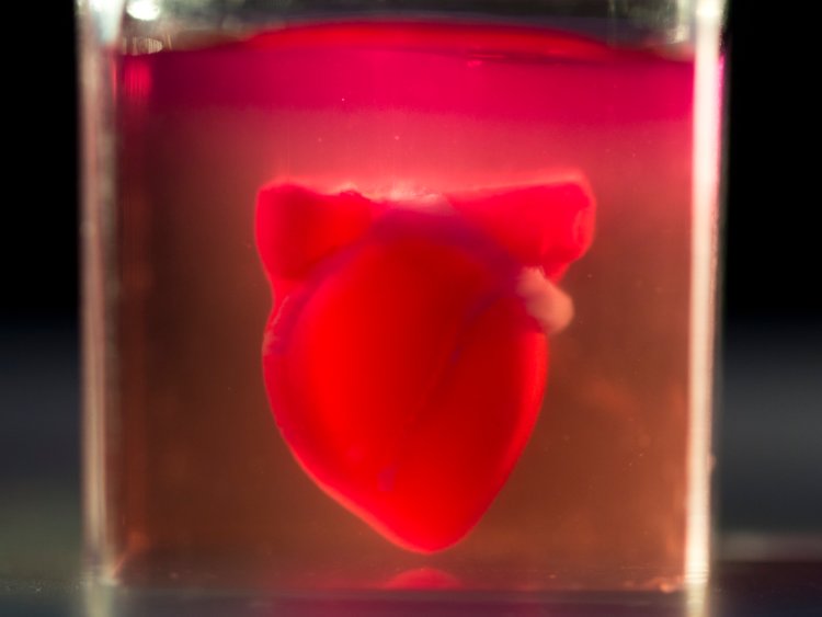 Image result for World