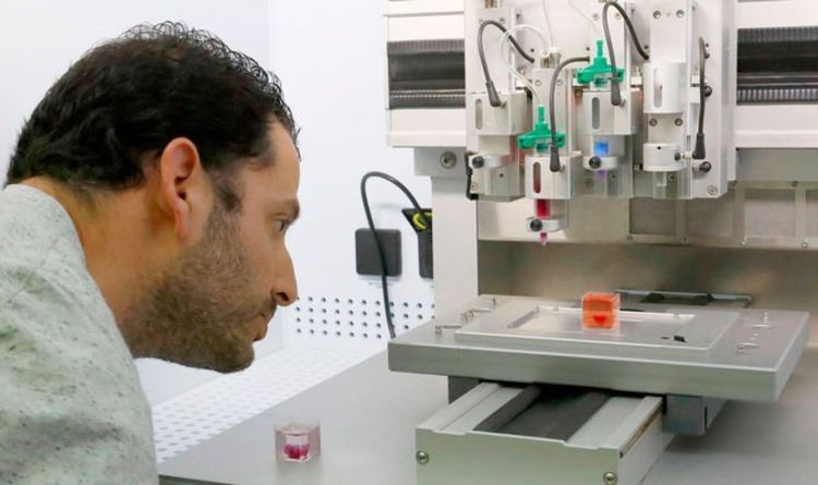 Image result for World