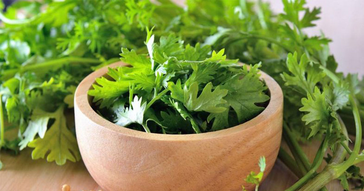 Here Is Why Cilantro Tastes Like Soap To Some People - Small Joys