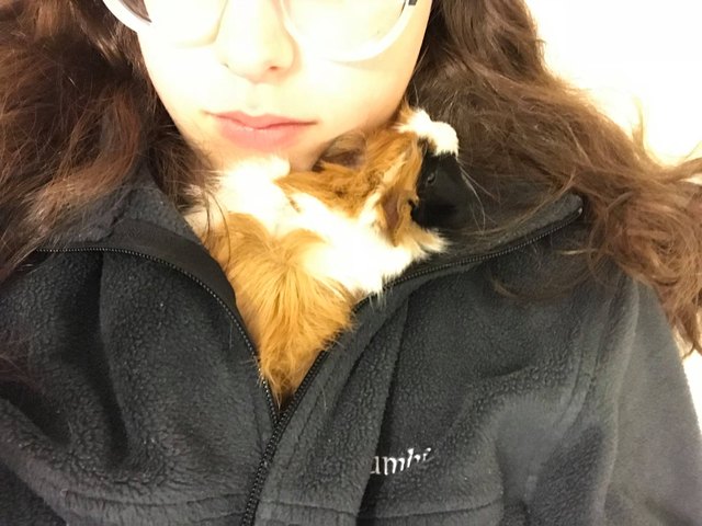 26 baby pet pics that prove Throw Back Thursday is the king of hashtags