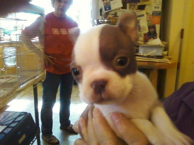 26 baby pet pics that prove Throw Back Thursday is the king of hashtags