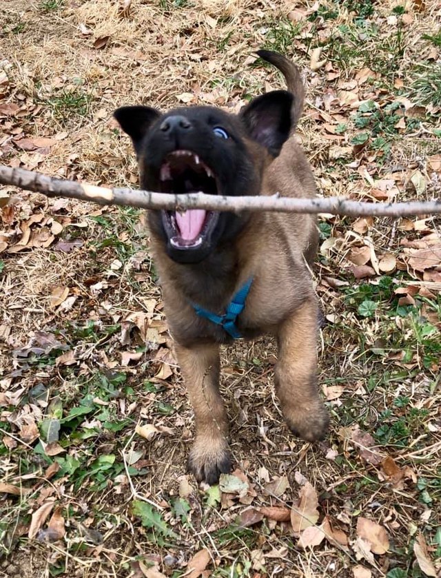 26 baby pet pics that prove Throw Back Thursday is the king of hashtags