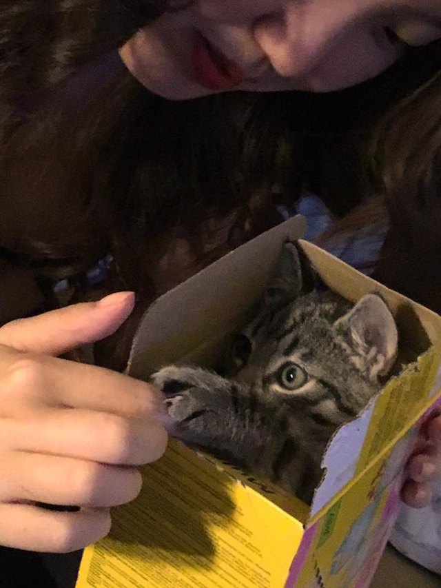 26 baby pet pics that prove Throw Back Thursday is the king of hashtags