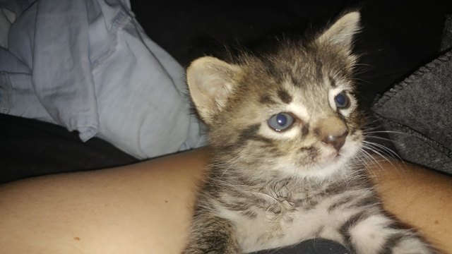 26 baby pet pics that prove Throw Back Thursday is the king of hashtags