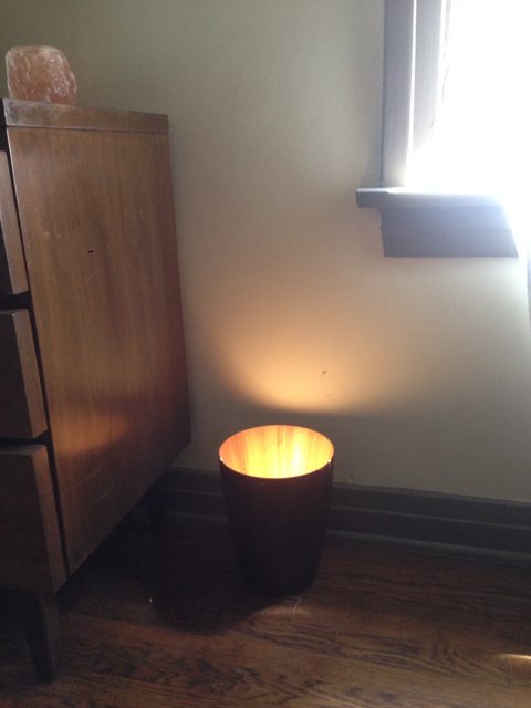 the way the sun hits my trash can makes it look like i threw away a glowing orb