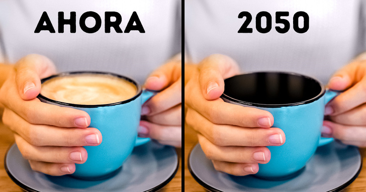 10 Alimentos que posiblemente nunca volvamos a comer debido al cambio climático