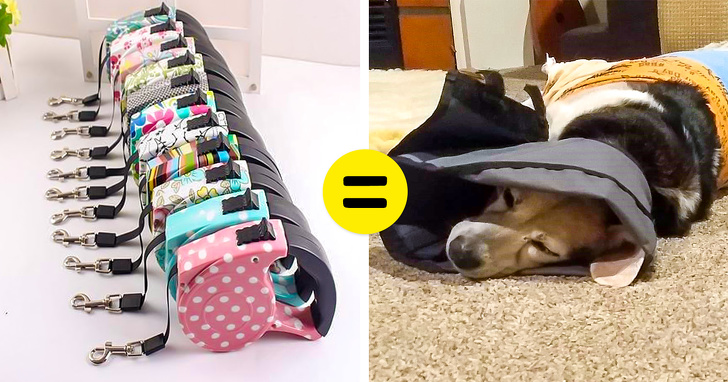 10 Cosas que los veterinarios quisieran contarte, pero es poco probable que lo hagan