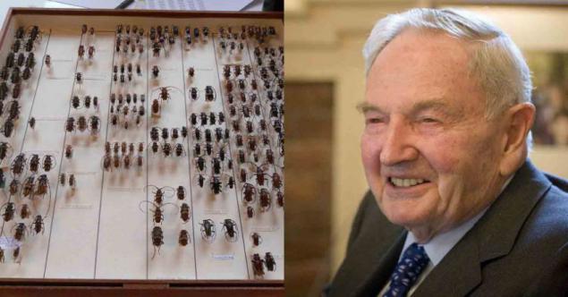Resultado de imagen de David Rockefeller escarabajos