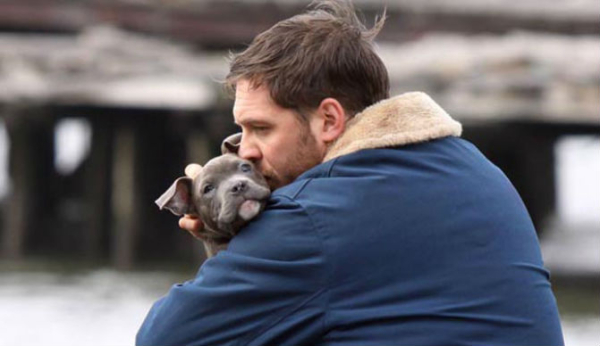 Resultado de imagen de Tom Hardy dog