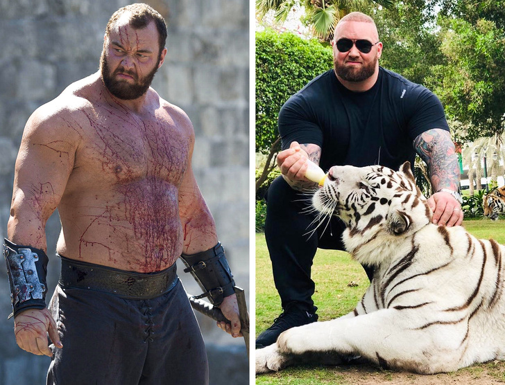 10 Actores rudos que en la vida real son una verdadera lindura