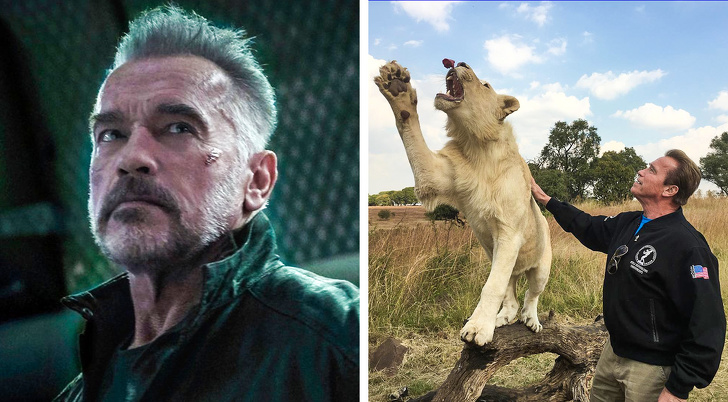 10 Actores rudos que en la vida real son una verdadera lindura