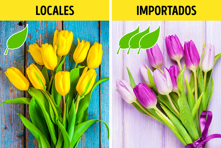 10 Verdades incómodas sobre la ecología que ya es hora de que cada habitante del planeta Tierra comprenda