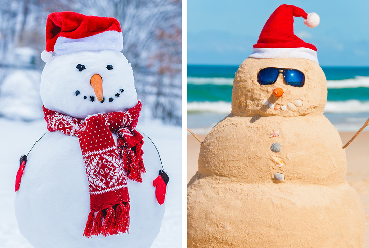 10 Verdades incómodas sobre la ecología que ya es hora de que cada habitante del planeta Tierra comprenda