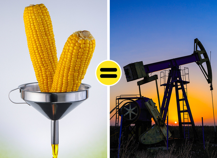 10 Verdades incómodas sobre la ecología que ya es hora de que cada habitante del planeta Tierra comprenda