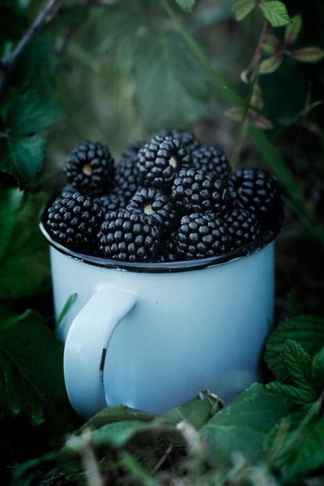 taza de moras