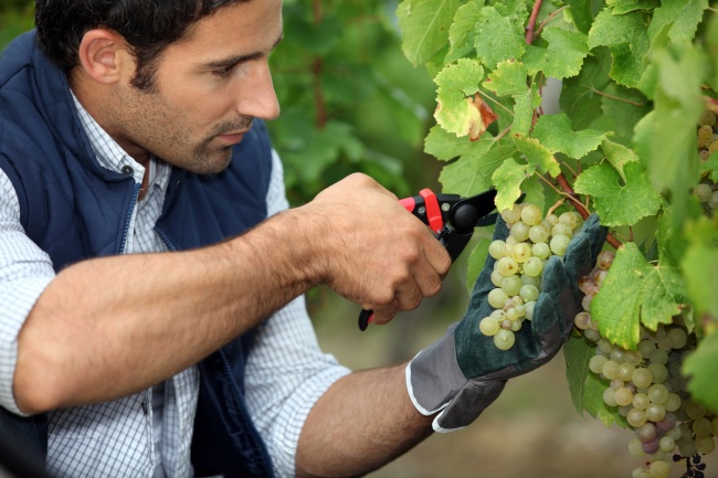 11 Geniales métodos de blogueros de viajes para viajar mucho y barato