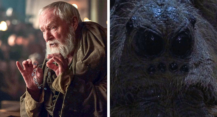 12 Actores de “Juego de Tronos” que trabajaron en “Harry Potter” y no lo habías notado