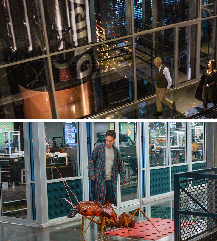 17 Datos del mundo del cine que ayudarán a comprender mejor cómo se hacen las películas en Hollywood