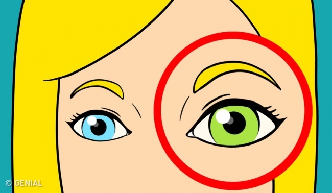 13 Pruebas de que eres más inteligente de lo que crees