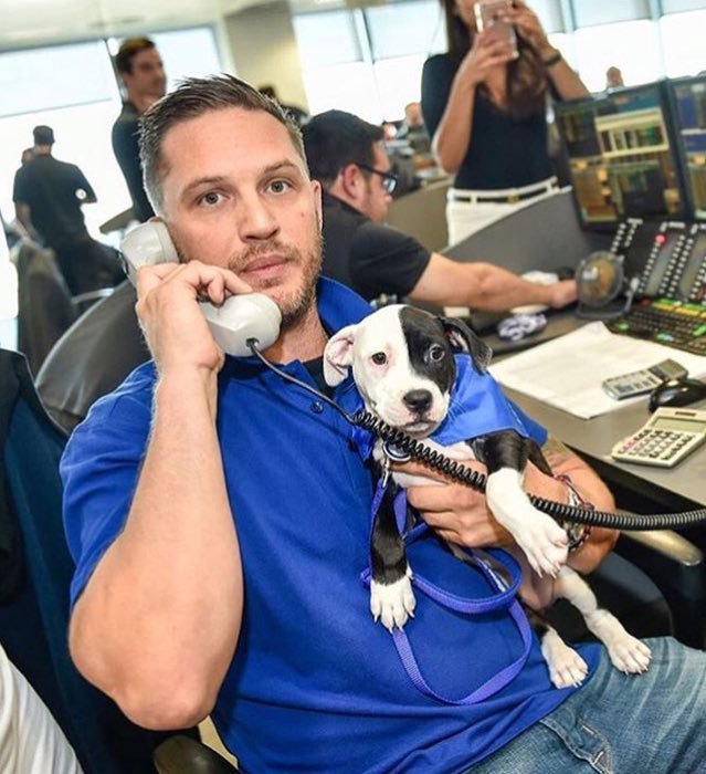 Resultado de imagen de Tom Hardy dog