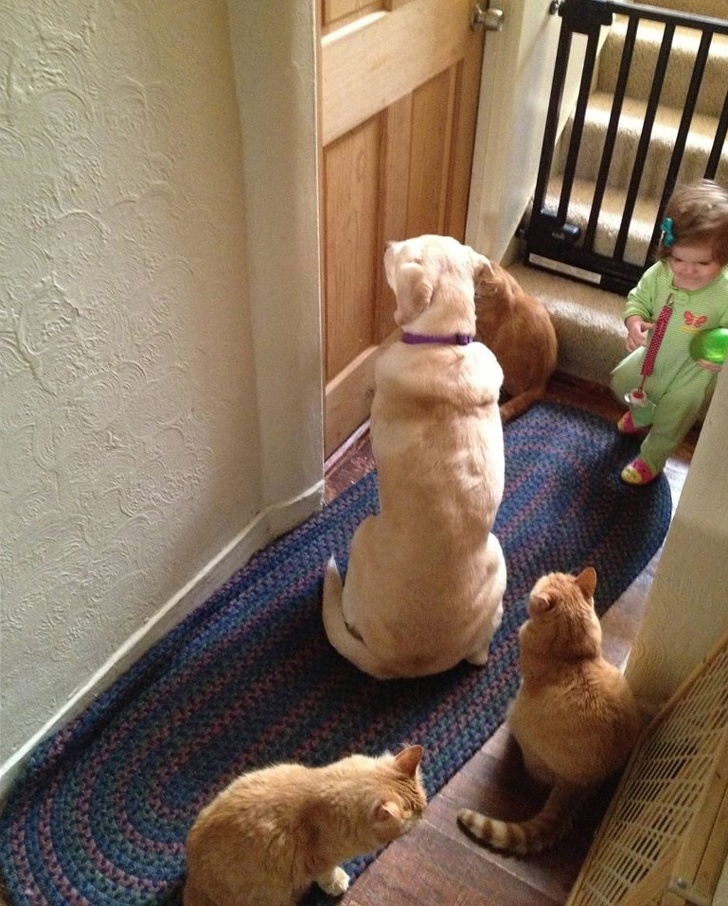 15 Fotos que mostram que ter uma família não é tarefa fácil