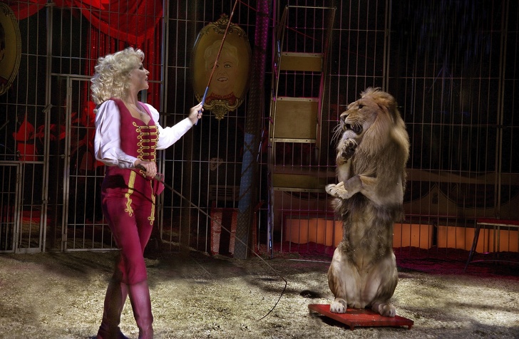 15 Ejemplos de lucha por los derechos de los animales que hacen de nuestro mundo un lugar más humano