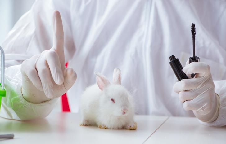 15 Ejemplos de lucha por los derechos de los animales que hacen de nuestro mundo un lugar más humano