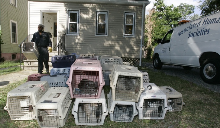 15 Ejemplos de lucha por los derechos de los animales que hacen de nuestro mundo un lugar más humano