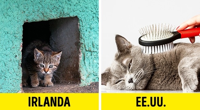 15 Cosas con las cuales los estadounidenses sorprenden a los visitantes de otros países