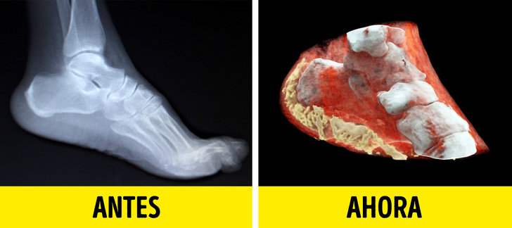 17 Descubrimientos científicos que están a punto de revolucionar nuestro mundo