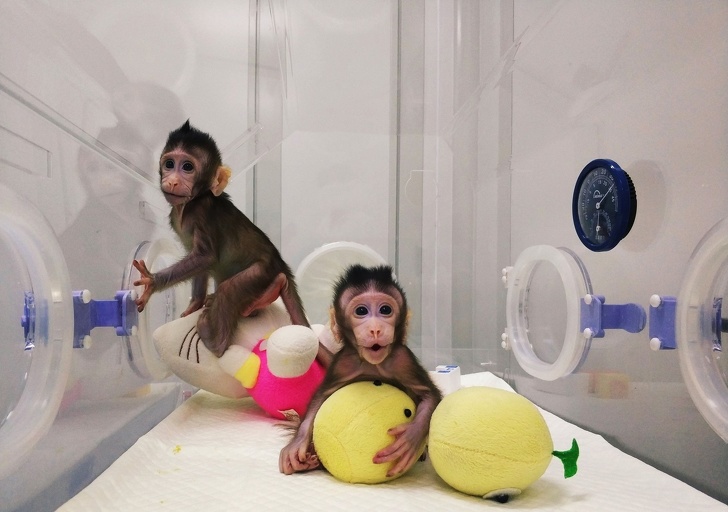 17 Descubrimientos científicos que están a punto de revolucionar nuestro mundo