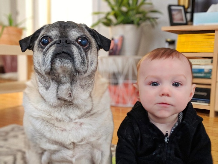 18 Fotos que mostram todo o esplendor do que é ter filhos