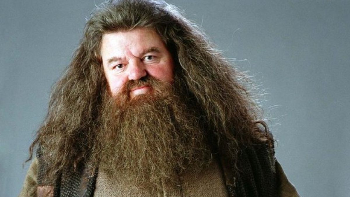 Resultado de imagen de hagrid