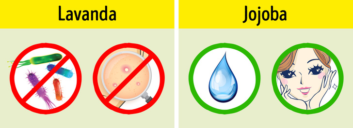 20+ Óleos para cabelos, pele e unhas melhores que qualquer cosmético