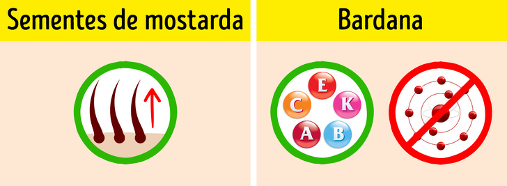 20+ Óleos para cabelos, pele e unhas melhores que qualquer cosmético
