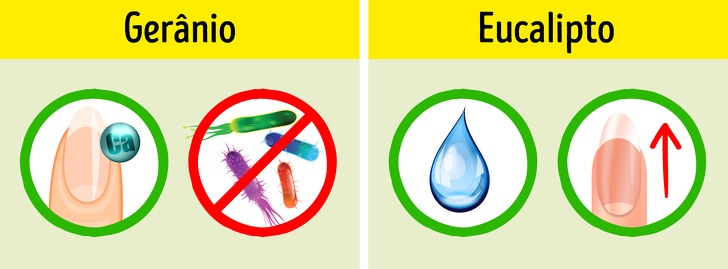 20+ Óleos para cabelos, pele e unhas melhores que qualquer cosmético