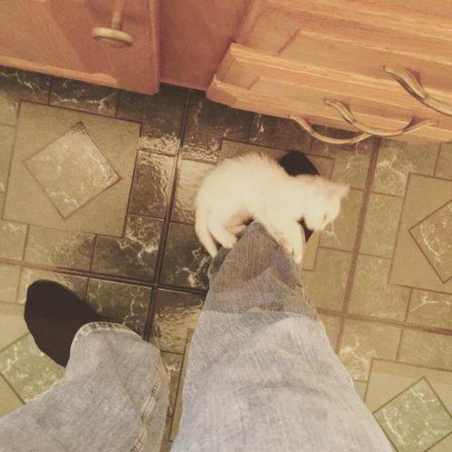 20 people who said they didn