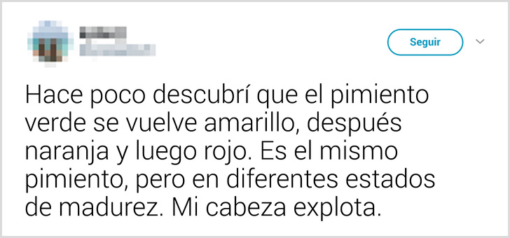 17 Usuarios de la red que saben más sobre este mundo que Google