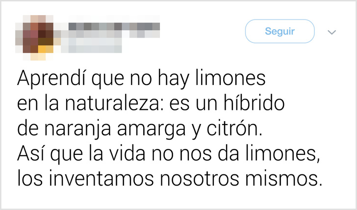 17 Usuarios de la red que saben más sobre este mundo que Google