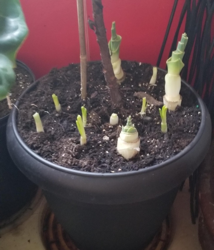 23 Truques de quem sabe como economizar bastante dinheiro