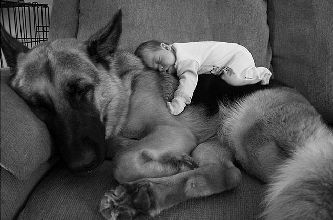 crianças-com-cães-1