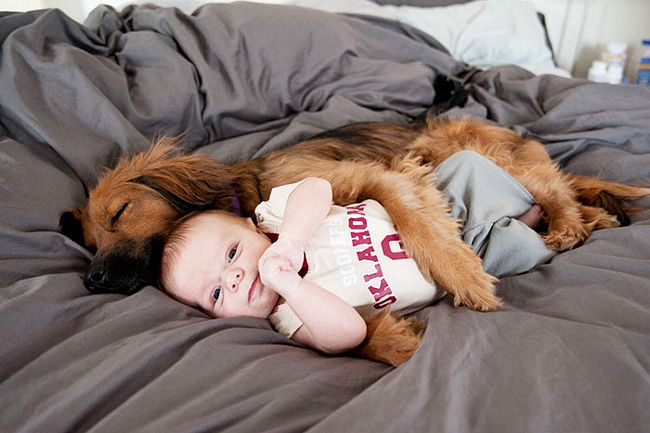 crianças-com-cães-14