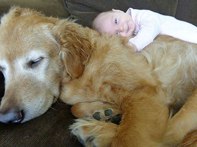 crianças-com-cães-2