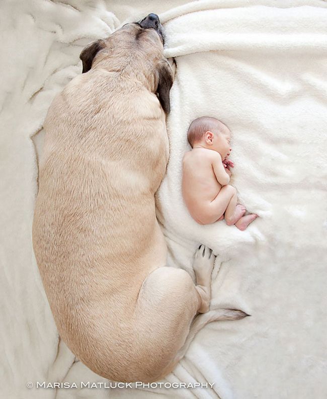 crianças-com-cães-22