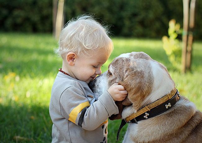 crianças-com-cães-24