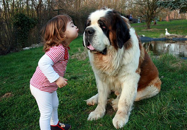 crianças-com-cães-9