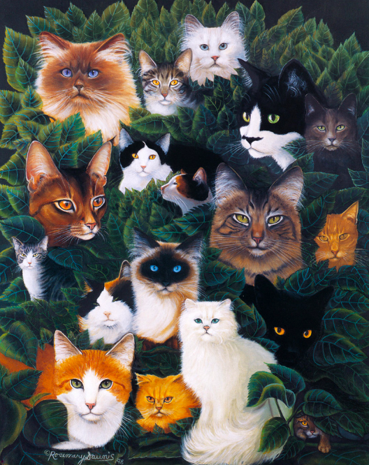 Кэт коллаж. Разные породы кошек. Кошачьи коллаж. Коллаж с котятами. Котики коллаж.